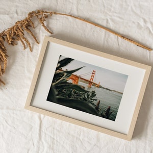 May include: A framed print depicting the Golden Gate Bridge in San Francisco. The bridge is a striking orange, set against a blue sky and water. The frame is light wood, and the image is partially obscured by green foliage.