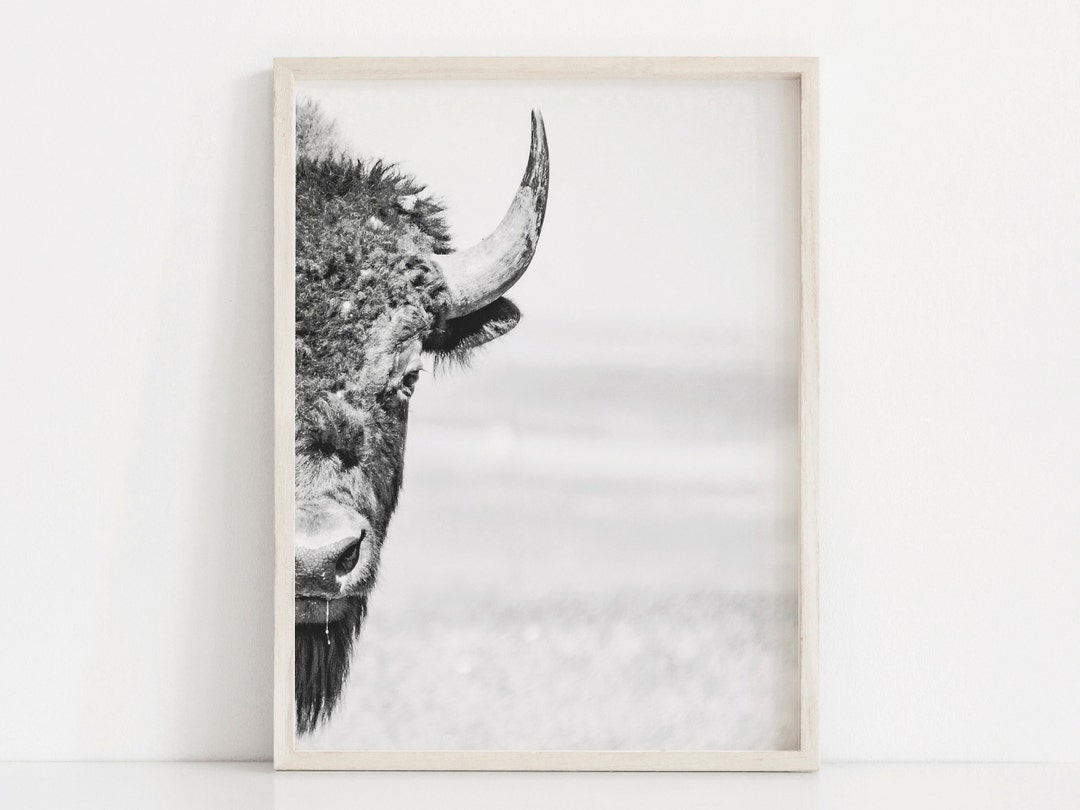 Buffalo Art Bison Prints Rustic Cabin Art Farmhouse Printable Western ...
