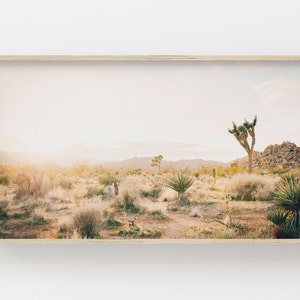 Samsung Frame TV Art | Modern Desert Digital Art | Joshua Tree Photo | Art for Frame TV | Digital Art For Frame Tv | Samsung Art Frame
