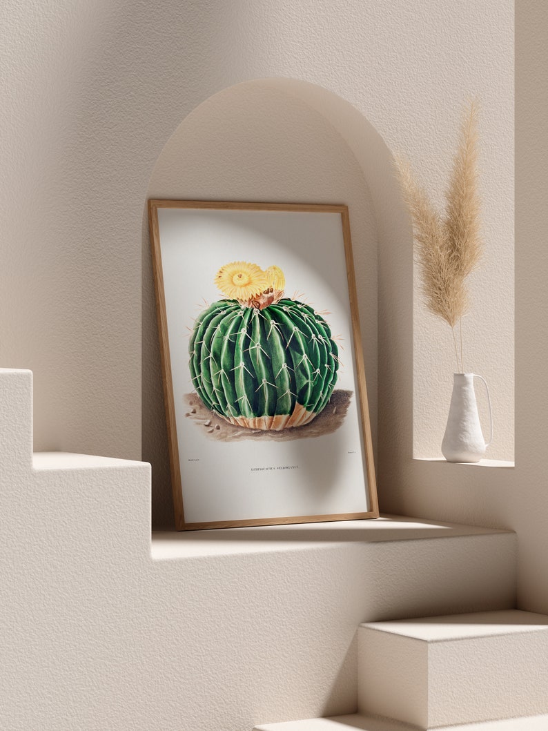 Parodia Sellowii, Yellow Flower Cactus, Boho Wall Decor, Cacti Digital Art, Botanical Printable, Cactus Drawing, Vintage Illustration image 5