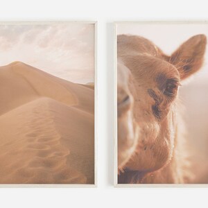 Camel Desert Print Set of 2 Prints, Sand Dune Print, Camel Wall Art, Southwestern Wall Art, Boho Wall Art, 2 Piece Wall Art,Desert Printable