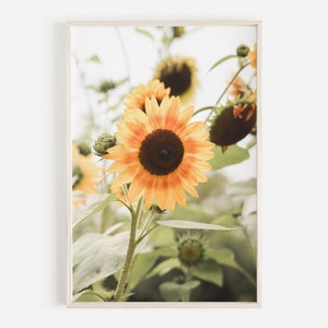 Yellow Flower Photo, Sunflower Print, Farmhouse Decor, Sunflower Poster, Boho Sunflower Art, Floral Printable Art, Sunflower Digital Print