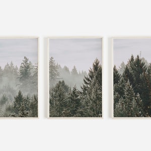 3er Set Drucke, Minimalistische Kunst, Wald Wandkunst, Natur Drucke, Baum Fotos, Wald Druck, Landschaftsdekor, Nebel skandinavische Drucke