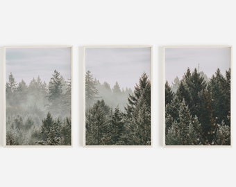 May include: A set of three framed prints featuring a misty forest scene with tall evergreen trees. The prints are in a light wood frame and have a muted color palette.