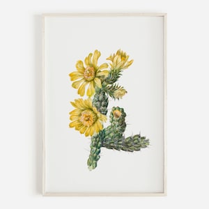 Puede incluir: Una pintura de acuarela de una flor de cactus amarilla con tallos y hojas verdes. La flor está en flor y tiene un centro amarillo. La pintura está enmarcada en un marco blanco.