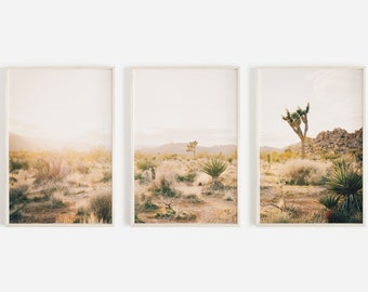 Zuidwestelijke drieluik printset, digitale bestanden, Joshua Tree printset, woestijnfotografie, California Art Print set, postergalerij
