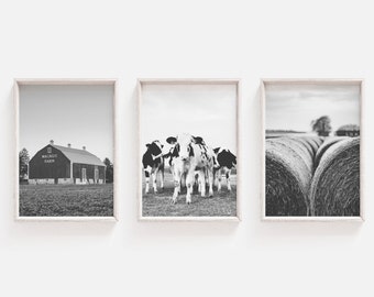 May include: A set of three black and white photographs depicting a farm scene. The first photo shows a red barn with the text "Walnut Farm" on the side. The second photo shows a group of black and white cows in a field. The third photo shows a field of hay bales.