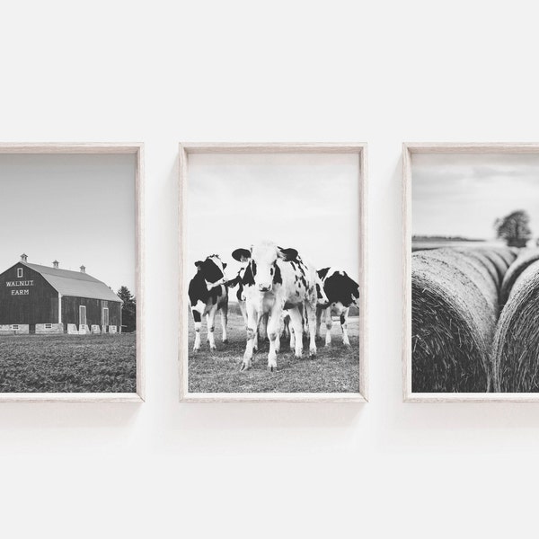Set Of 3 Prints, Farm Print, Cow Print, Black And White, Farmhouse Wall Art, Nature Photography, Barn Poster, Cow Wall Art, Farm Wall Art