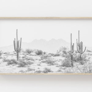 Samsung Frame TV Art | Cactus Art Frame Tv | Art for Frame Tv | Cactus Digital Art | Samsung Art Frame | Desert Digital Art | Frame Art Tv