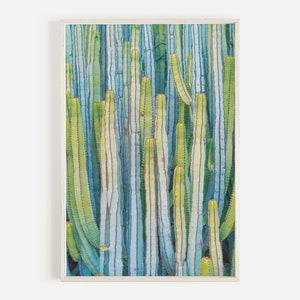 Blue Green Cactus Print, Vibrant Cactus, Palm Springs Wall Art, Cactus Printable Art, Desert Photography, California Cactus Print