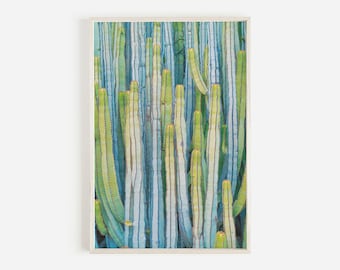 Blue Green Cactus Print, Vibrant Cactus, Palm Springs Wall Art, Cactus Printable Art, Desert Photography, California Cactus Print