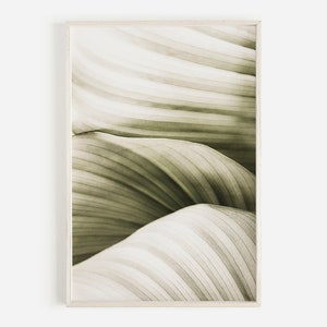 Leaf Print, Tropical Leaf Print, Leaf Photography, Green Leaf Wall Art, Botanical Print, Printable Leaf, Leaf Print Wall Art