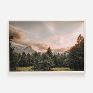 Forest Sunset Photo, Pastel Sky Wall Art, Nature Photography, Forest Landscape Print, Grand Teton Forest, Downloadable Prints, Printable Art