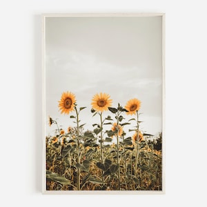 Sunflower Field, Boho Sunflower Print, Yellow Flower Poster, Summer Sunflowers, Floral Printable, Sunflower Wall Art, Field of Sunflowers