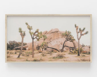 Samsung Frame TV Art | Joshua Tree California Desert | Modern Boho Desert Art | Art for Frame Tv | Desert Art Frame Tv | Samsung Art Frame