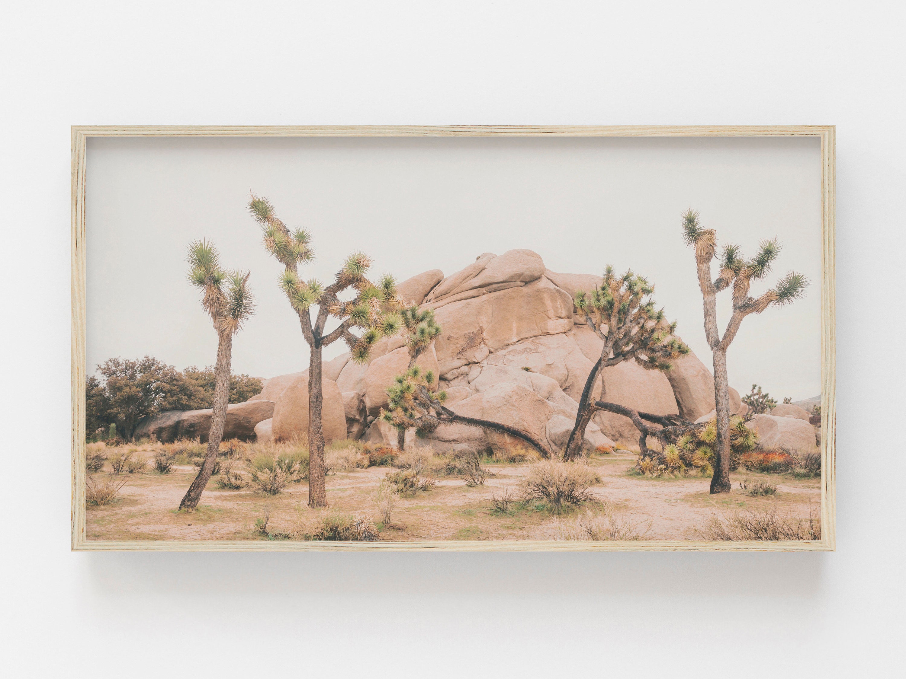 Samsung Frame TV Art | Joshua Tree California Desert
