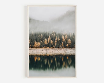 Nebelwald Print, Bäume Poster, Landschaft Wandkunst, herunterladbare Drucke, Waldfotografie, druckbare Wandkunst, Landschaft Wanddekor