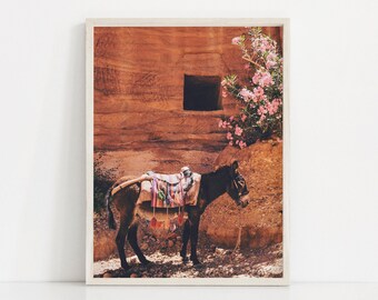 Donkey Art Print, Morocco Desert Print, Boho Living Room Decor, Boho Prints, Donkey Printables, Modern Boho Wall Art, Southwestern Art Print