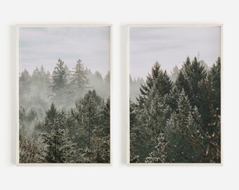 May include: Two framed prints of a misty forest scene with tall evergreen trees. The trees are a dark green color and the mist is a light gray color.