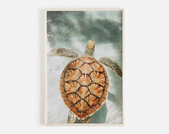 Underwater Sea Turtle, Tropical Ocean Print, Hawaiian Sea Turtle, Ocean Nature Print, Sea Turtle Photography, Underwater Turtle Wall Art