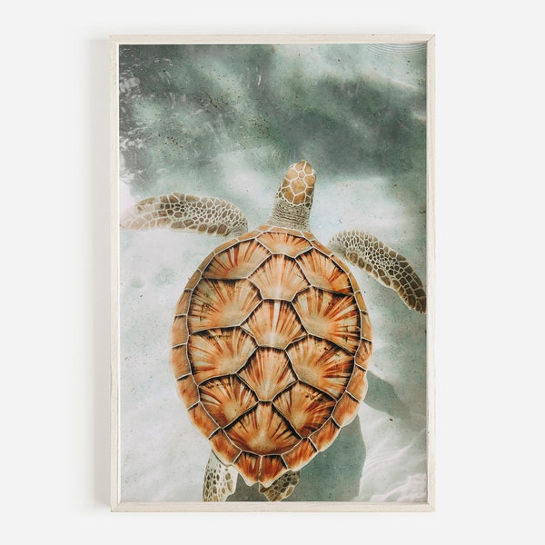 Underwater Sea Turtle, Tropical Ocean Print, Hawaiian Sea Turtle, Ocean Nature Print, Sea Turtle Photography, Underwater Turtle Wall Art