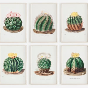 Vintage Cactus Print Set, Set of 6 Prints, Cactus Gallery Wall Set, Arizona Cactus Art, Boho Home Decor, Set of 6 Vintage Prints, Desert Art