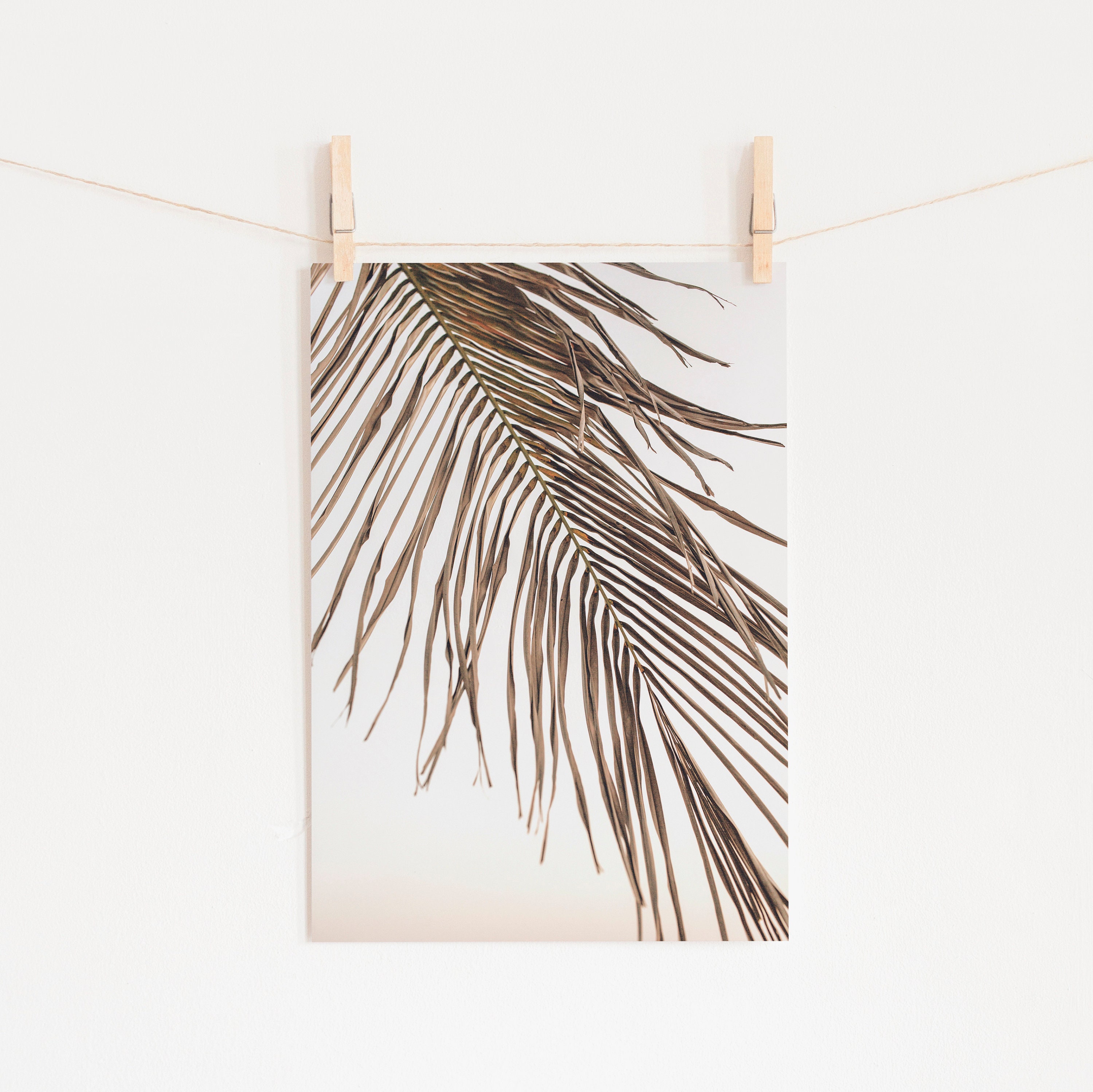 Palm Leaf Prints Tropical Wall Art Boho Leaves Prints - Etsy