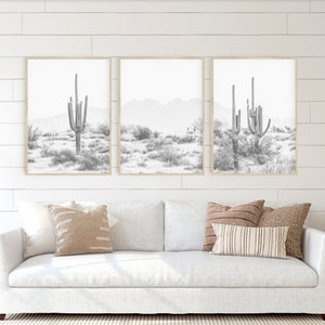 Puede incluir: Tres fotograf&iacute;as en blanco y negro enmarcadas de paisajes des&eacute;rticos con altos cactus en primer plano. Las fotos est&aacute;n colgadas en una pared blanca de tablones de madera sobre un sof&aacute; blanco con almohadas marrones y beige.
