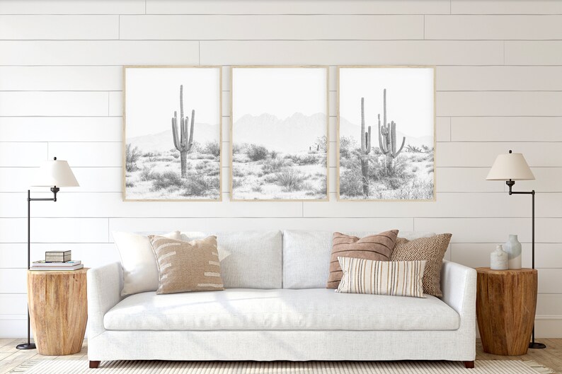 Puede incluir: Tres fotograf&iacute;as en blanco y negro enmarcadas de paisajes des&eacute;rticos con altos cactus en primer plano. Las fotos est&aacute;n colgadas en una pared blanca de tablones de madera sobre un sof&aacute; blanco con almohadas marrones y beige.