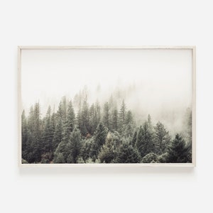 Wald Wandkunst, Nebliger Wald Poster, Bäume Wandkunst, Natur Druck, Waldfotografie, horizontaler Druck, Walddruck, druckbare Wandkunst
