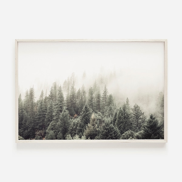 Forest Wall Art, Foggy Forest Poster, Trees Wall Art, Nature Print, Forest Photography, Horizontal Print, Forest Print, Printable Wall Art
