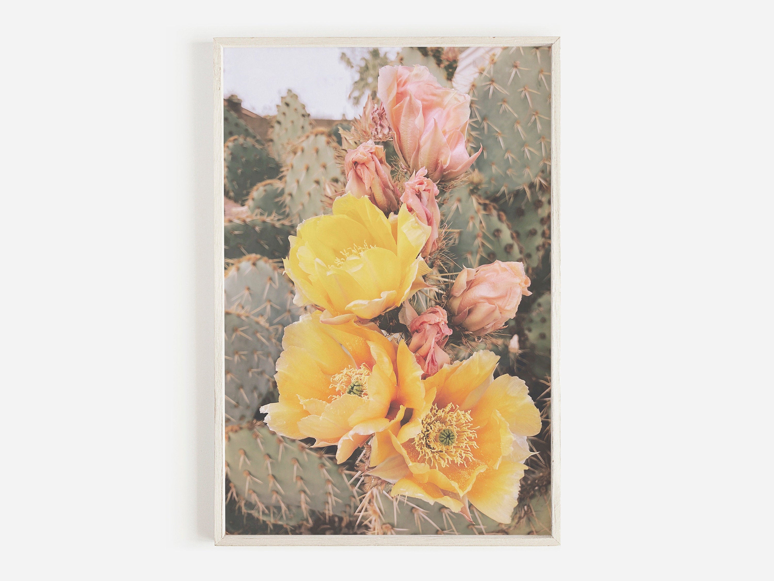 Cactus Flower Art Print Desert Cactus Print Printable Wall - Etsy