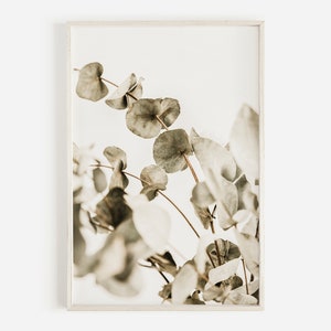 Eucalyptus Branch, Botanical Print, Eucalyptus Wall Art, Green Leaves Print, Botanical Art Print, Eucalyptus Photo, Digital Print, Printable
