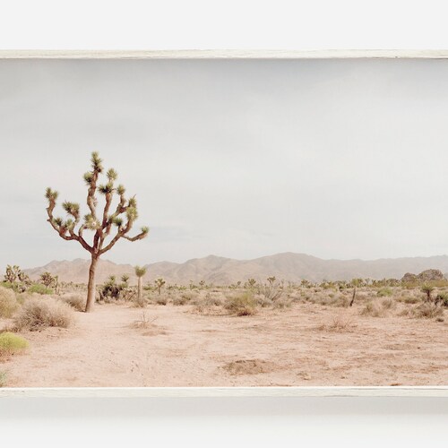 Joshua Tree Print Set Southwestern Wall Art Joshua Tree Set Etsy
