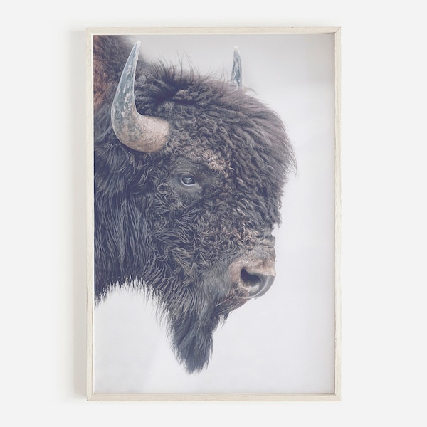 Buffalo Print, Bison Wall Art, Western Prints, Boho Bison Wall Art, American Bison Print, Modern Farmhouse Decor, Printable Buffalo DOWNLOAD