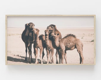 Samsung Frame TV Art | Animal Art for Frame TV | Desert Camel Digital Art | Digital Art Frame TV | Samsung Art | Desert Art for Frame Tv