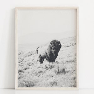 Bison Print Buffalo Print Bison Wall Art Animal Poster Wilderness Photography Southwestern Wall Art Bison Poster Buffalo Poster Bison Room