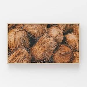 Samsung Frame TV Art, Coconut TV Decor, Pile of Coconuts, Coconut Photo for Frame TV, Tropical Coconut Print, Coconut Frame Tv Art