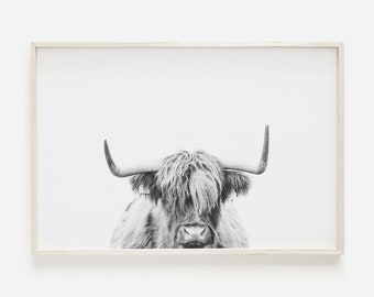 Highland Cow Printable Art Black and White Wall Art Prints Scottish Shaggy Cow Large Animal Poster Digital Download Modern Farmhouse Decor