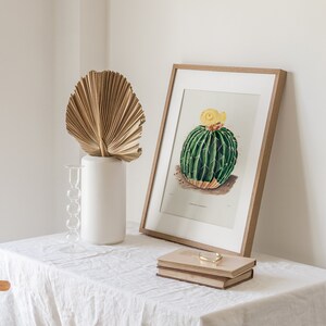 Parodia Sellowii, Yellow Flower Cactus, Boho Wall Decor, Cacti Digital Art, Botanical Printable, Cactus Drawing, Vintage Illustration image 3