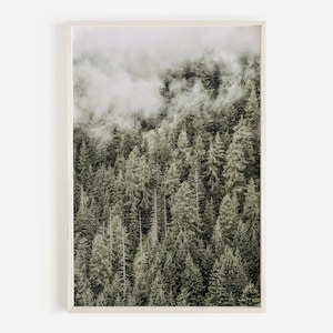 Cartel del bosque brumoso, arte de la pared de la naturaleza, impresión del bosque, fotografía de árboles, descarga digital, arte de la pared vertical, impresiones de la naturaleza arte de pared imprimible