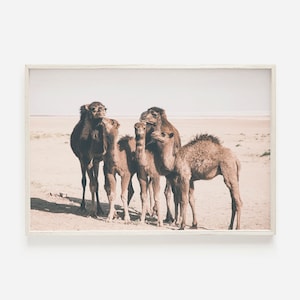 Desert Camel Print, Instant Art, Boho Decor, Dorm Room, Desert Home Decor, Moroccan Poster, Desert Animal Print, Printable Camel Art