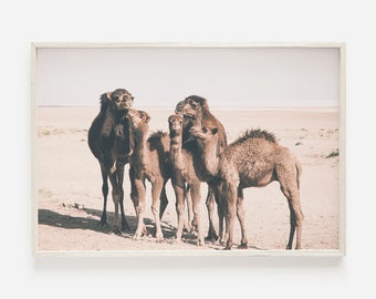 Desert Camel Print, Instant Art, Boho Decor, Dorm Room, Desert Home Decor, Moroccan Poster, Desert Animal Print, Printable Camel Art