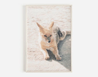 Fox Print, Desert Animal Wall Art, Boho Art, California Desert Print, Nature Wall Art, Fox Poster, Wilderness Photography, Printable Art