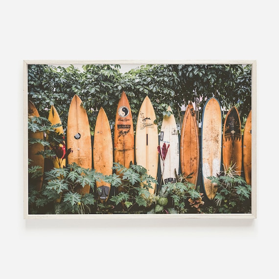 Surfboards in Hawaii, Tropical Forest Landscape, Surfing Ocean