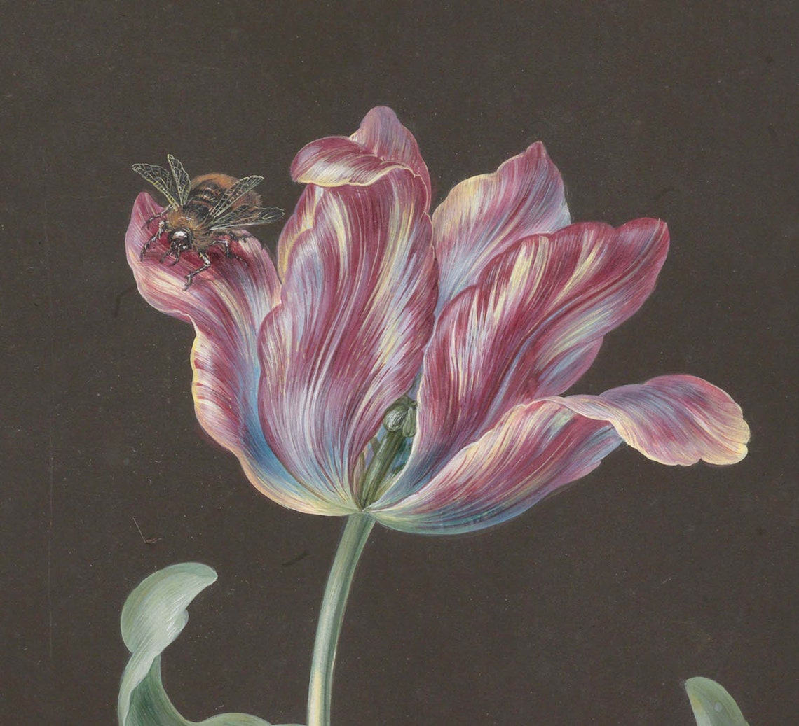 Barbara Regina Dietzsch Flower Painting Fine Art Print | Etsy