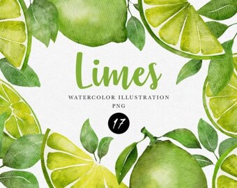 Aquarel Lime Clipart Trendy Lime bladeren Clipart, Limes Illustratie
