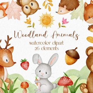 Waldtiere Aquarell Clipart Aquarell Clipart Von Waldtieren Niedliche Wald Clipart Kinder Deko Waldtiere Aquarell