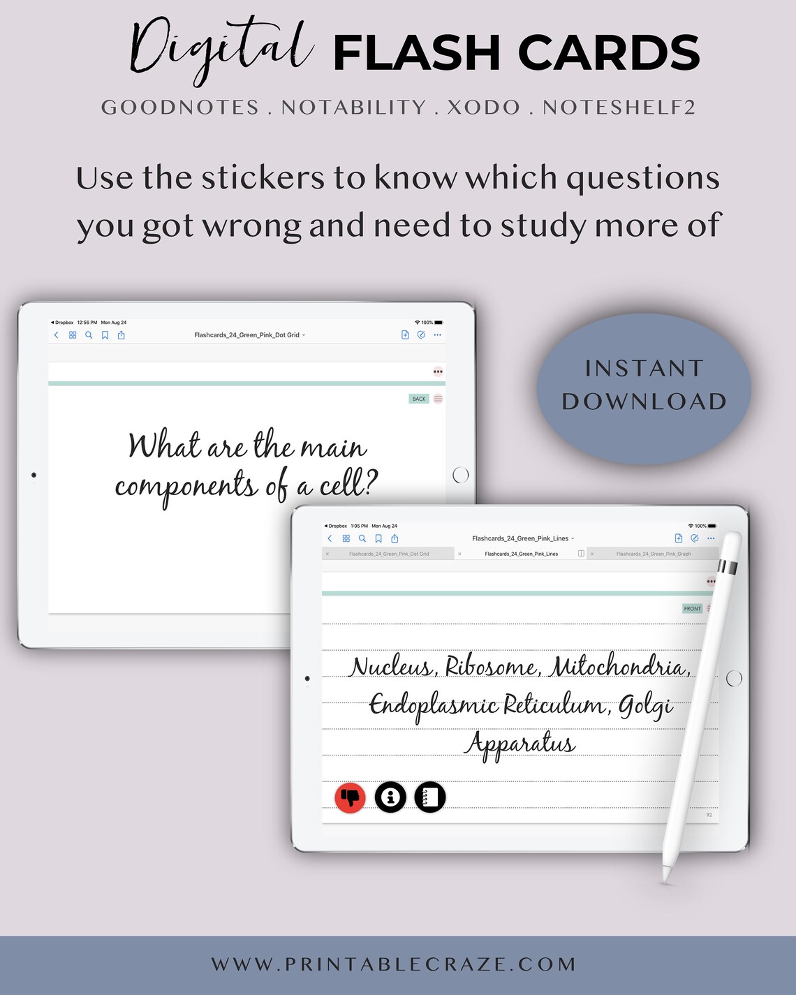 Digital Flash Cards for Goodnotes Flashcards Index Card Etsy