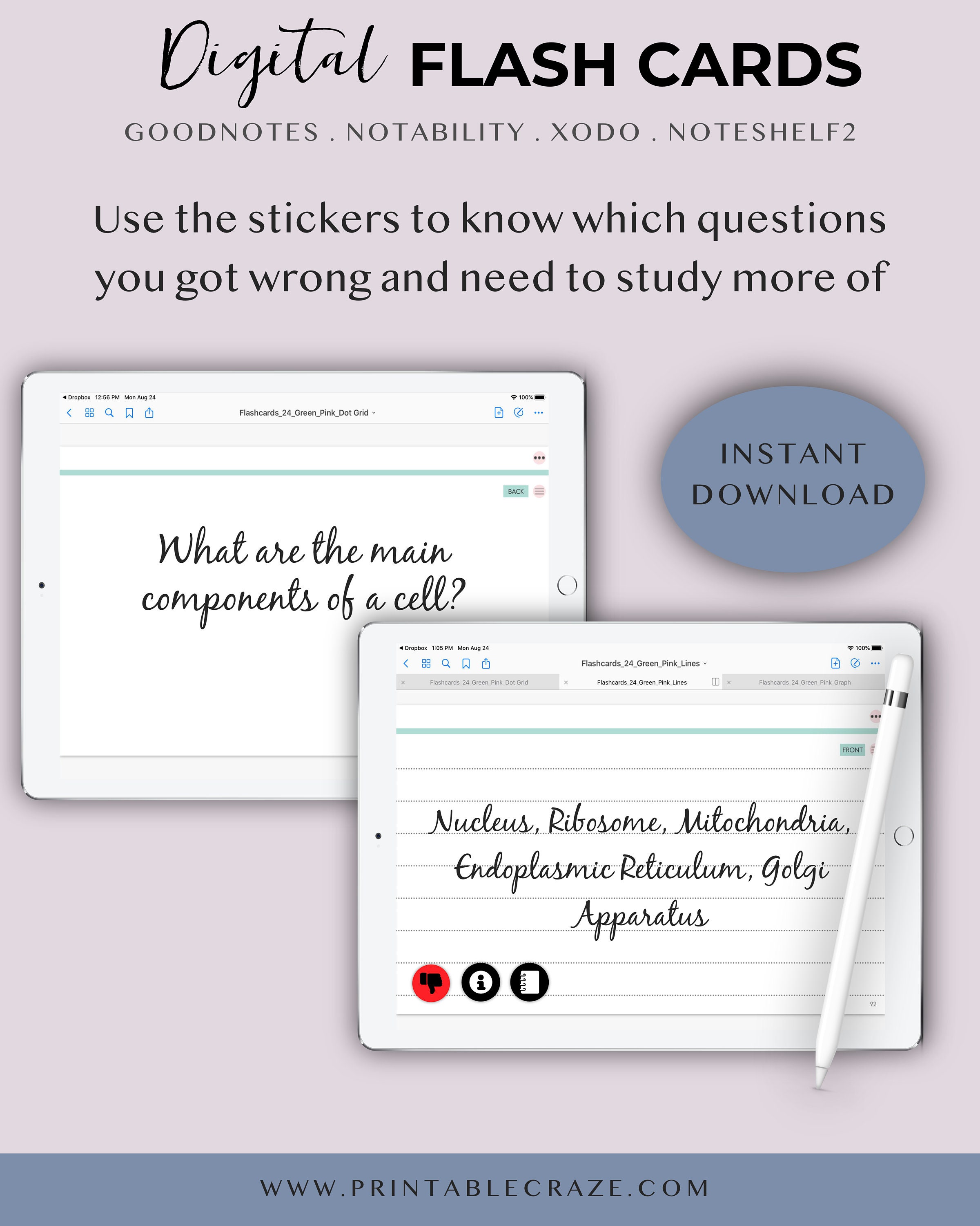 Digital Flash Cards for Goodnotes Flashcards Index Card Etsy Canada